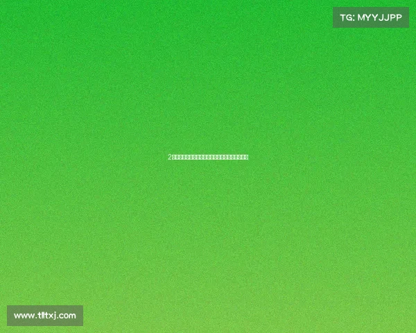 2毛钱搞定十代雅阁一万多的机盖弹起行人保护装置