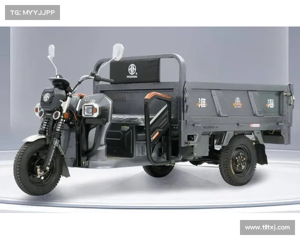 一次拉货3000斤,三款重载电动三轮车,五羊、淮海、金彭来了 一次拉货3000斤,三款重载电动三轮车,五羊、淮海、金彭来了